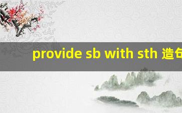 provide sb with sth 造句